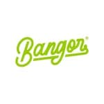 BURGER BANGOR